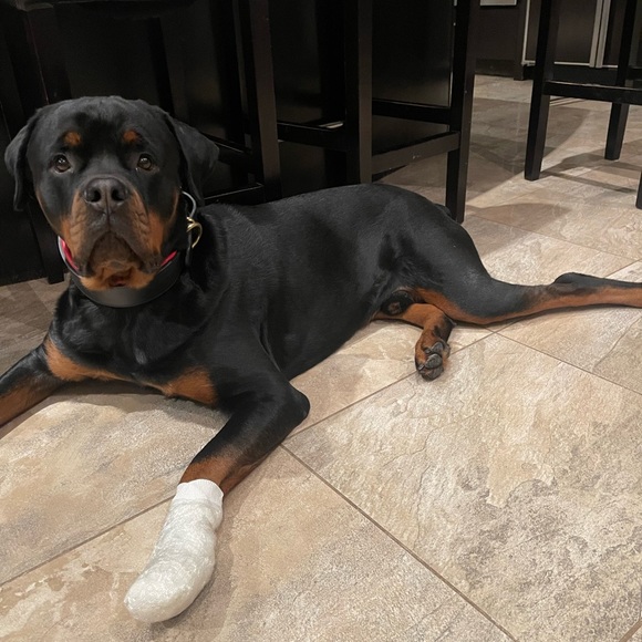 PLEASE READ! - Picture 3 of 5